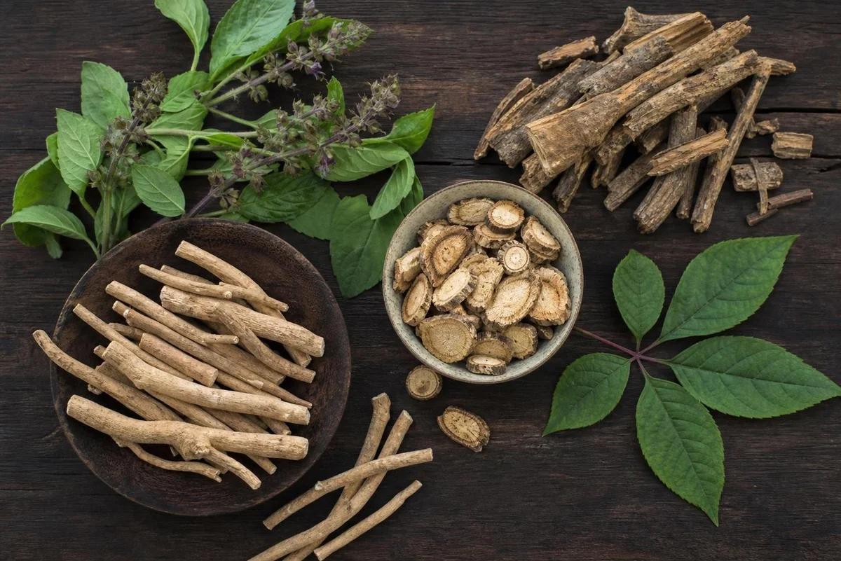 Adaptogenic herbs including ashwagandha and rhodiola arranged for comparison