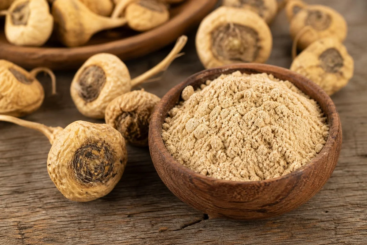Maca Lepidium Meyenii monograph visual