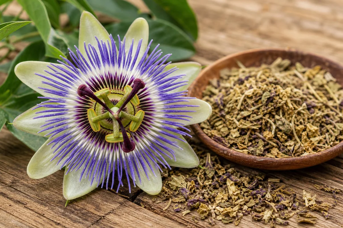 Passionflower monograph visual