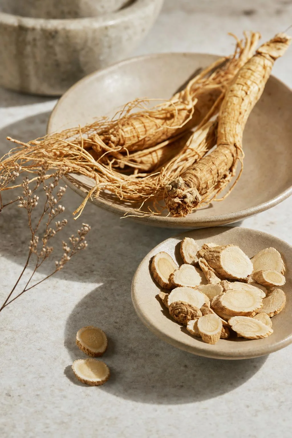 American Ginseng monograph visual